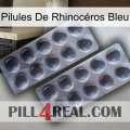 Pilules De Rhinocéros Bleu 31